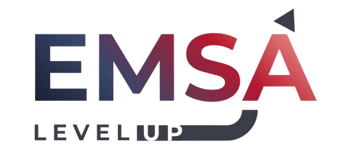 EMSA LevelUp - LOGO